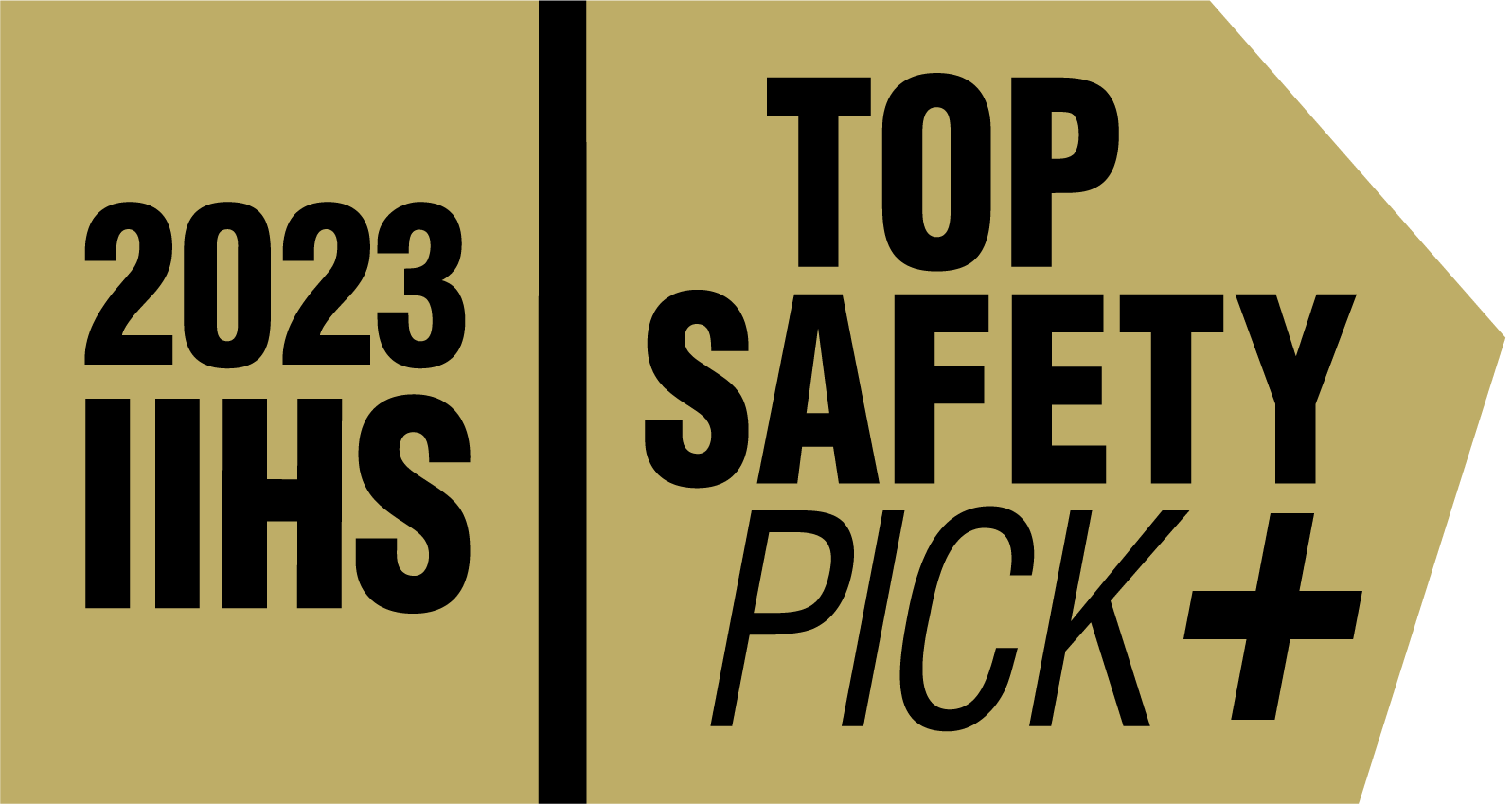 TOP SAFETY PICK logo